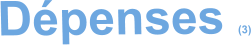 Dépenses (3)